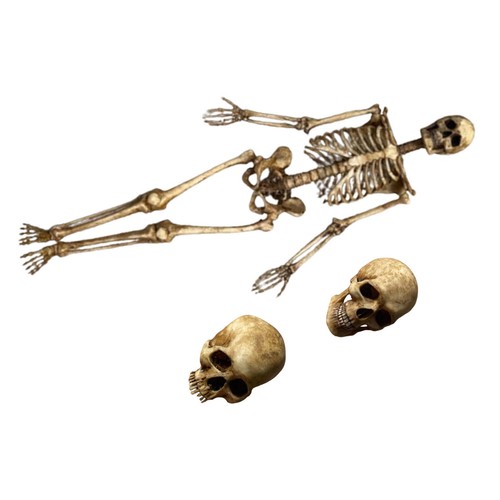 1/6 Scale Human Beings Skeleton PVC Model for 12" Action Figure Accessory Toy - Picture 11 of 18