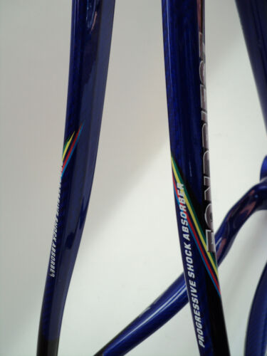 FONDRIEST LUXTER Evo SAT full Carbon frame set cadre rahmen MINT ! - Picture 11 of 24