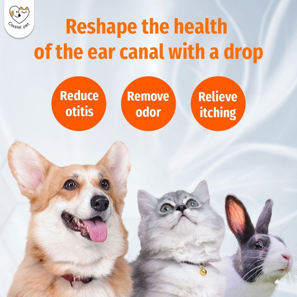 2x 20ml Ear Care Inflammation Infection Care Cat Dogs Rabbits Ear Drops