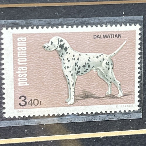 Dogs On Stamps Vintage Framed Art Postes Lao Paraguay Romana Made in Everett WA - Picture 4 of 8