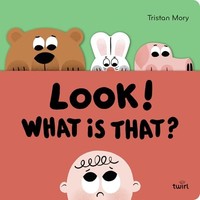 Tristan Mory - Look! What Is That - Novelty Book - G245Z