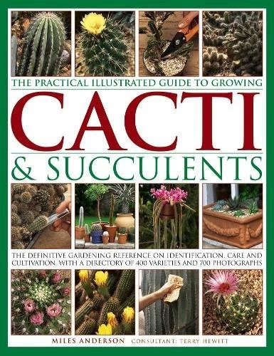 World Encyclopedia of Cacti & Succulents: The Definitive... - Miles Anderson