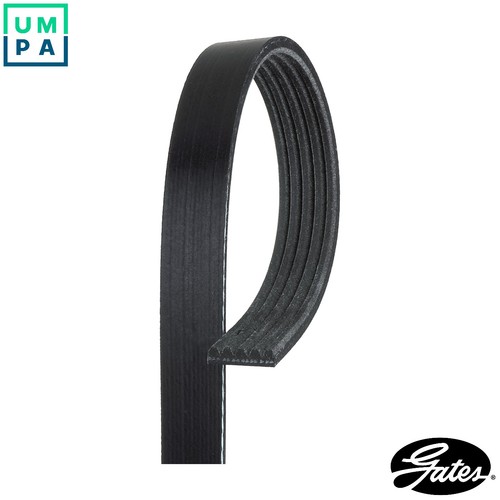 VRIBBED BELT 5PK868SF FOR FORD FOCUS/II/Van/III/Hatchback/Turnier/Station 1.6L - Picture 1 of 10