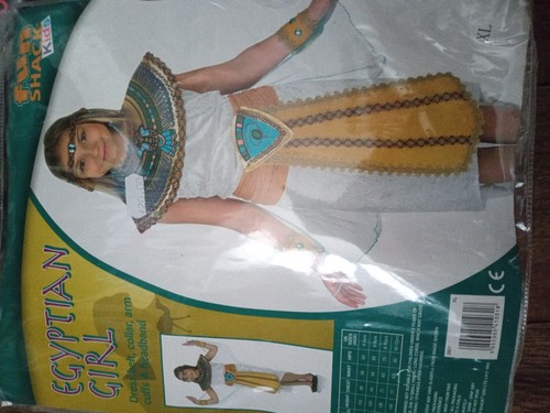 Fun Shack Egyptian Girl Costume XL 10-12 Years