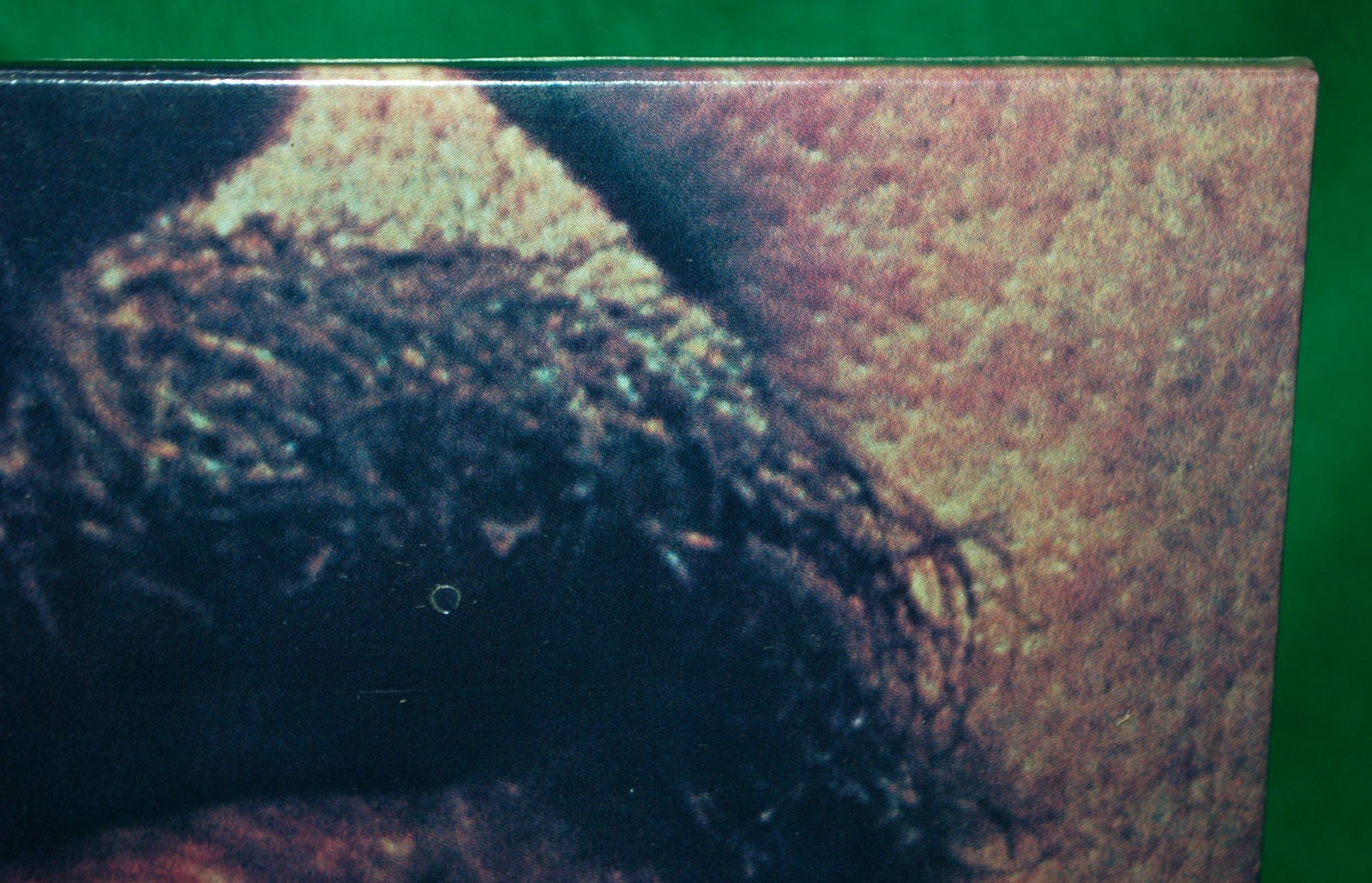 Picture 12 of 17