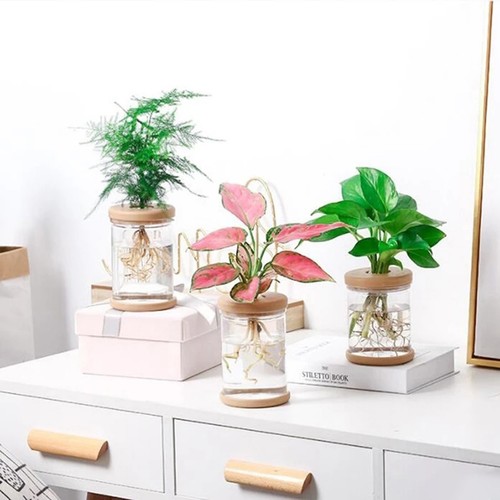 High Quality Plant Pots Plant Care Yard 2PCS Flower Pot Outdoor Living - Picture 3 of 9