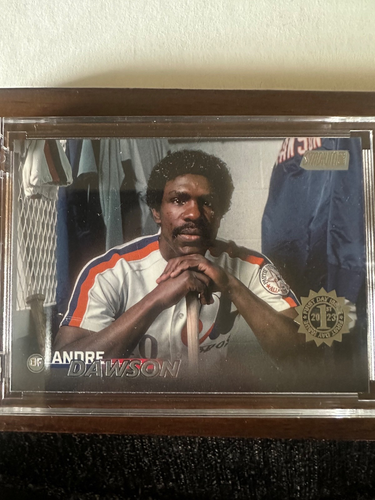 Andre Dawson 2023 Topps Stadium Club 11 card foil Variation lot /25 /10 made - Bild 16 von 21