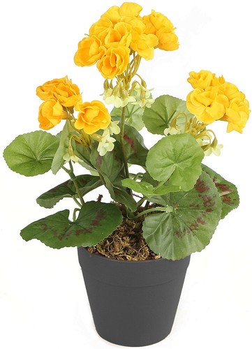 Miglior mazzo per piante da letto con spina di fiori di geranio artificiale 24 cm - vaso NON incluso - Foto 3 di 18