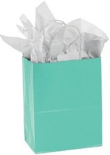 Paper Bags 100 Turquoise Blue Merchandise Shopping Handles 8 ¼” x 4 ¾” x 10 ½” 