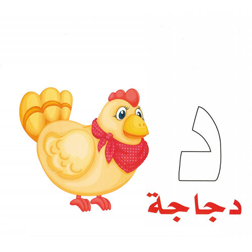 Arabic Alphabet Flash Cards - Big Size 9.5 x 6.5 inch - بطاقات الحروف العربية -  - Picture 7 of 12