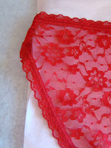 New Victoria’s Secret Red Floral Lace and Waist Bikini Panties - Picture 4 of 4