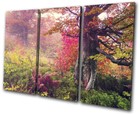 Autumn  Trees Pink Leaves Landscapes TREBLE CANVAS WALL ART Picture Print