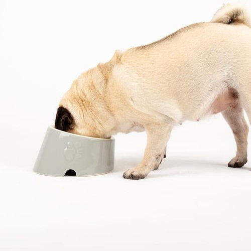 Cuenco de alimentación plano para perros pequeños perros cachorro gris gres rasguños - Imagen 2 de 4
