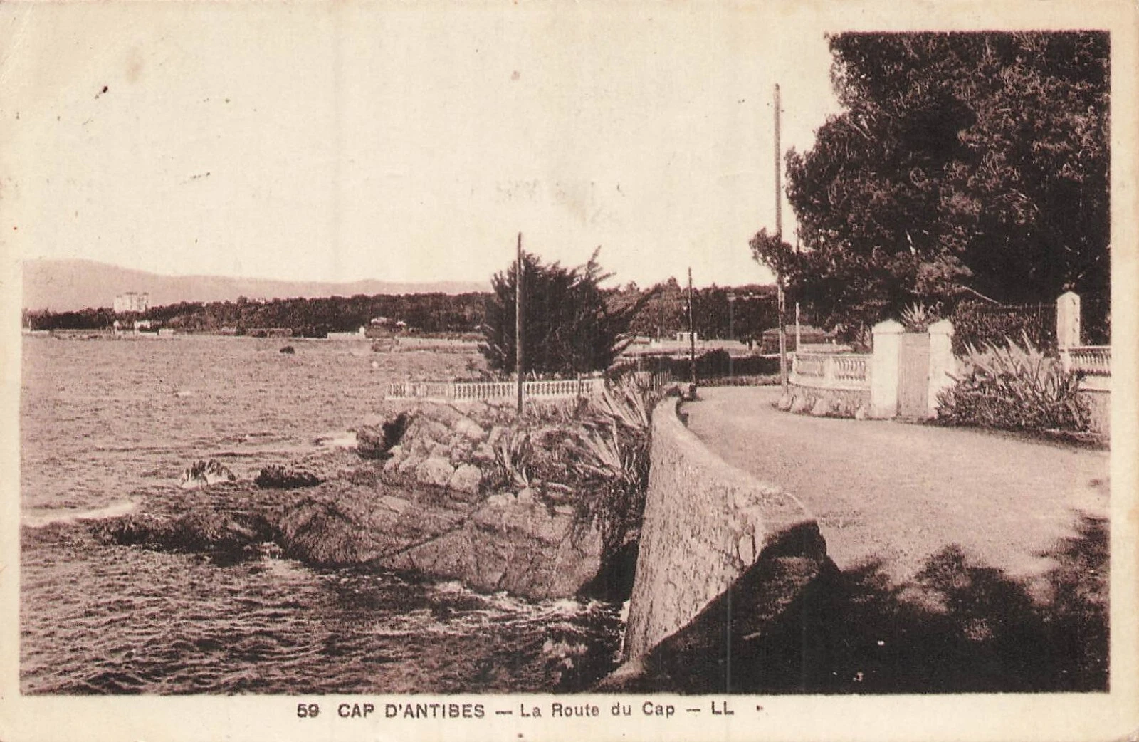 Photo 1/1