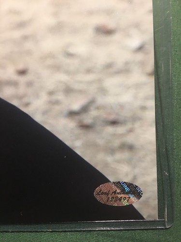 Foto firmata Grey Damon 8x10 venerdì notte luci acquario FOGLIA COA - Foto 3 di 4
