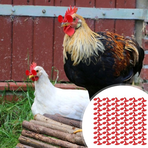 60 Pieces Pinless Chicken Hen Rooster Anti-Pecking Eyes Glasses Bolt - Picture 4 of 10