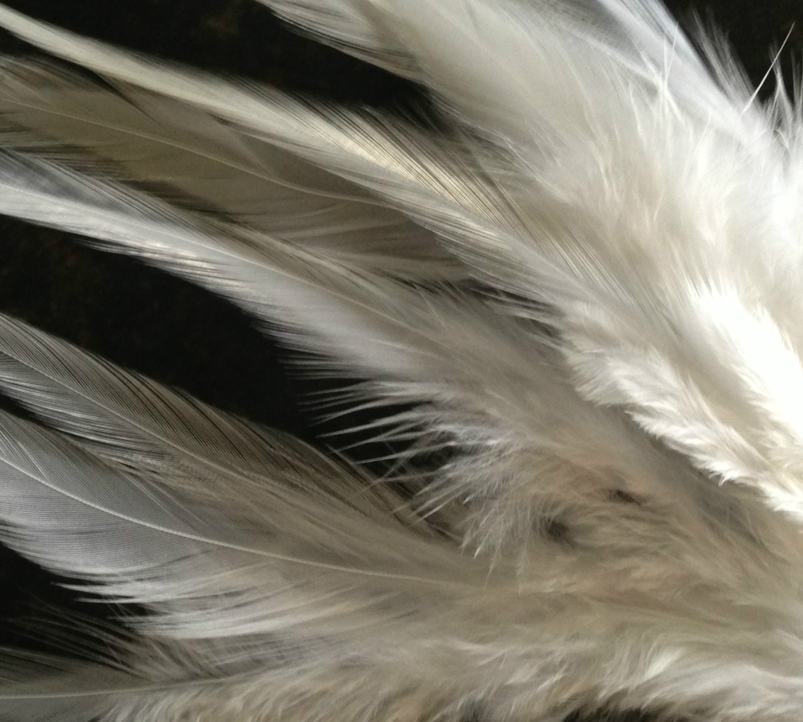 Bild 5 von 8