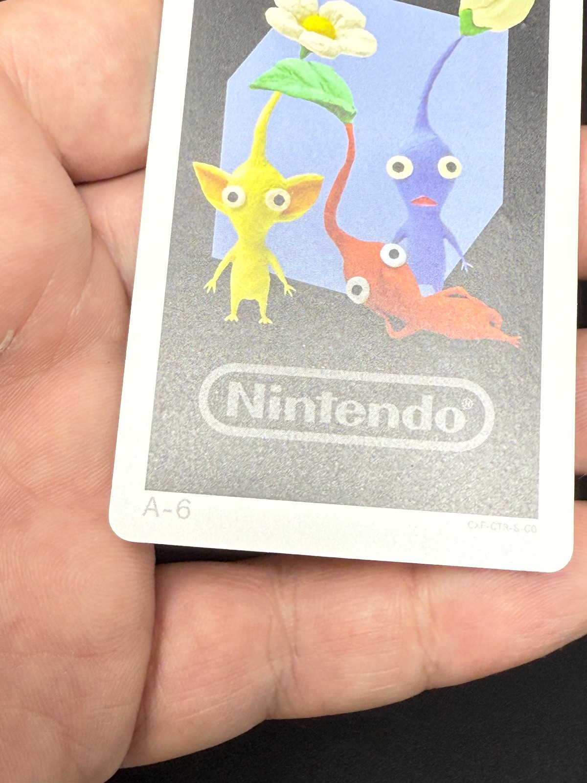 Picture 3 of 3