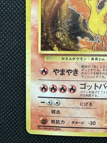 Pokemon Moltres No. 146 Japanese Fossil Holo Rare 1997 Old Back Vintage Japan - Picture 5 of 11
