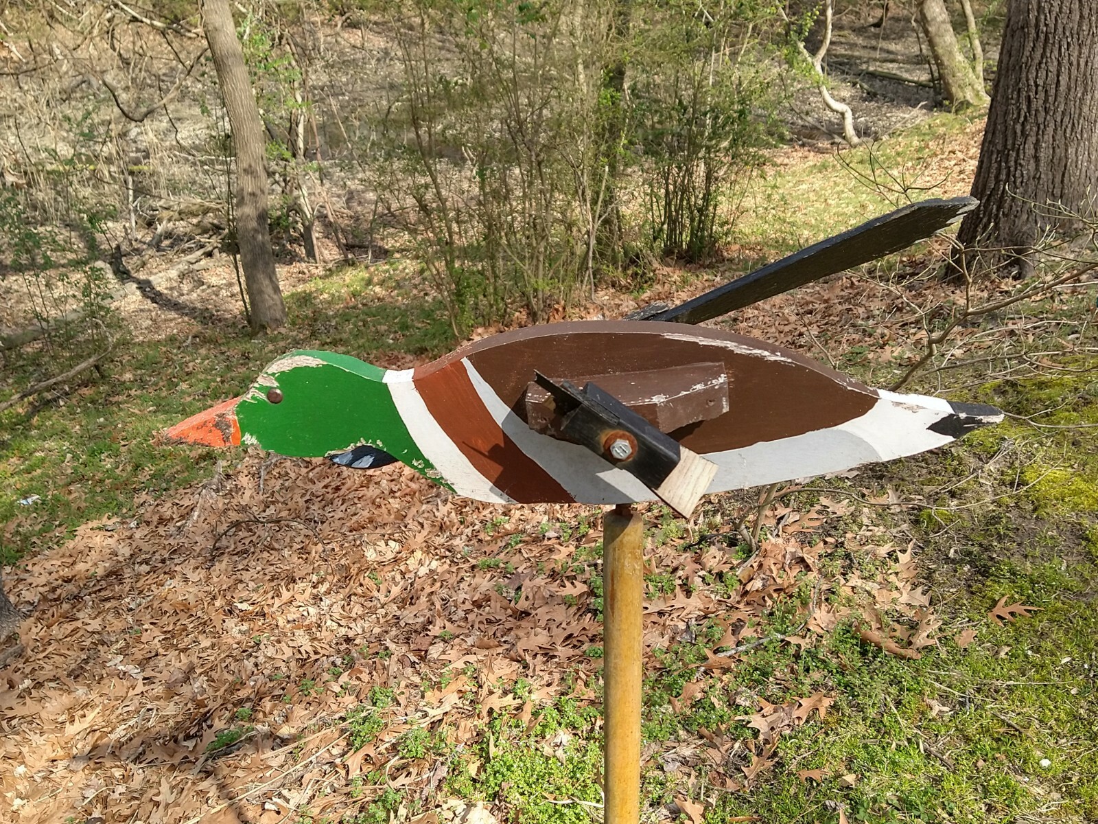 Picture 5 of 13