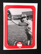 (15) 1981 Liberty Indians High School Baseball Card Lot Liberty Lumber Scarce