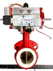 Air-Operated Cast Iron Body 150 psi WOG Rating Butterfly Valves