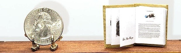 Picture 4 of 8