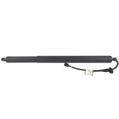 For Hyundai Palisade 3.8L 2020-2022 Driver Left Trunk Lift Strut Shock 81831-S81