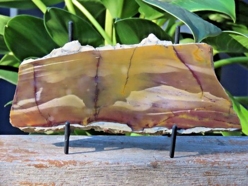 Polished Smooth & Raw Mookaite Mineral Slice From Australia 277 Grams With Stand - Bild 3 von 6