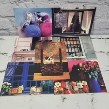 Vintage Oversized Kitty Cat Postcards 7pc Lot #1