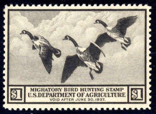 US RW3 $1 Hunting Permit Stamp 1936 Canada Geese in Flight VF unused OG LH - 第 1/2 張圖片