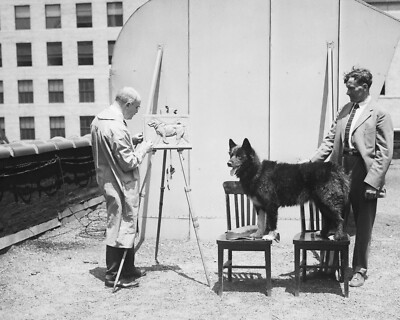 Balto Siberian Husky Dog 8X10 Photo Picture Image Nome Alaska sled musher #13