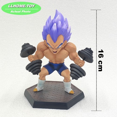 Anime toy kids Super Saiyan God Blue Vegeta Muscle Fitness Figure Statue Gift