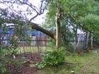 Picture 10 of 12