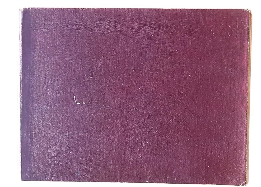 Picture 13 of 13