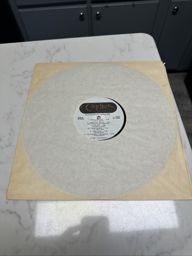 THE CATALINAS~SUMMERTIME'S CALLING ME LP RARE NC BEACH.Ultrasonic Cleaned - Picture 17 of 18