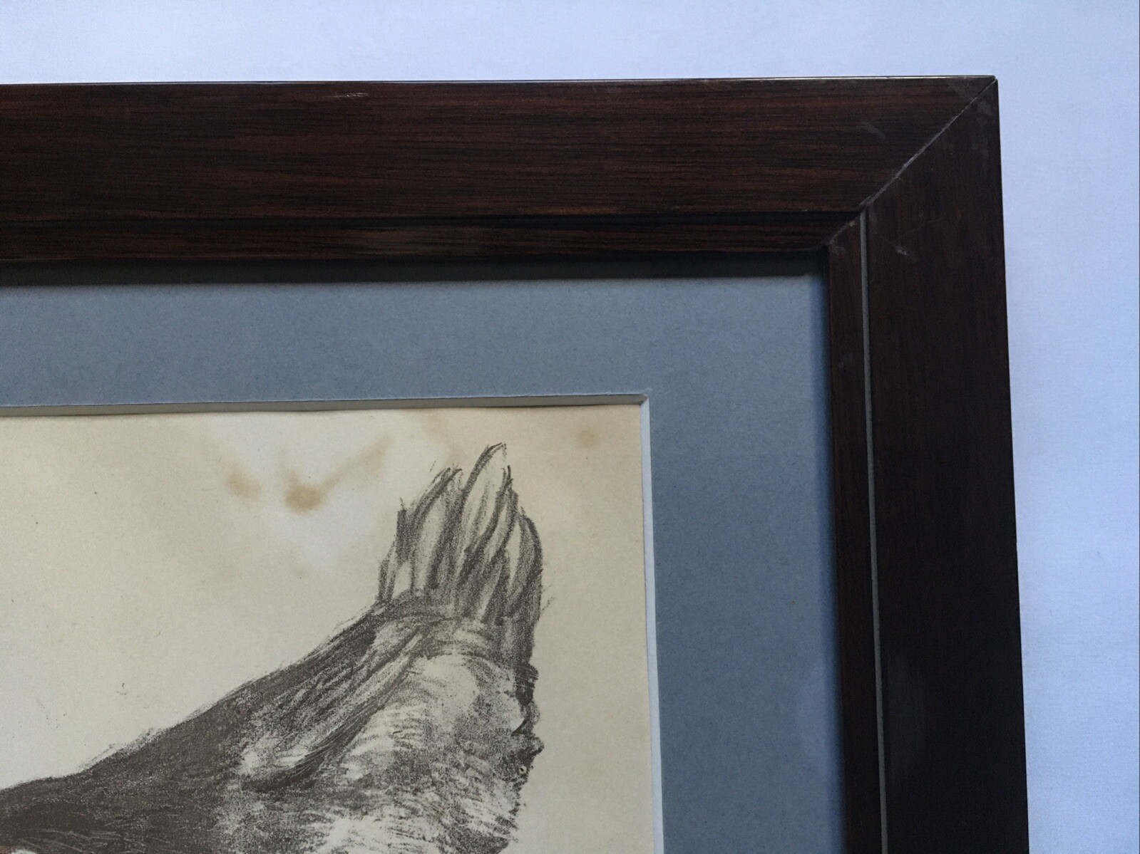 Picture 8 of 12