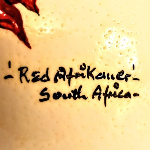 Monica Wilson bemaltes Straußenei Südafrika roter Afrikaner 6 Zoll - Bild 9 von 9