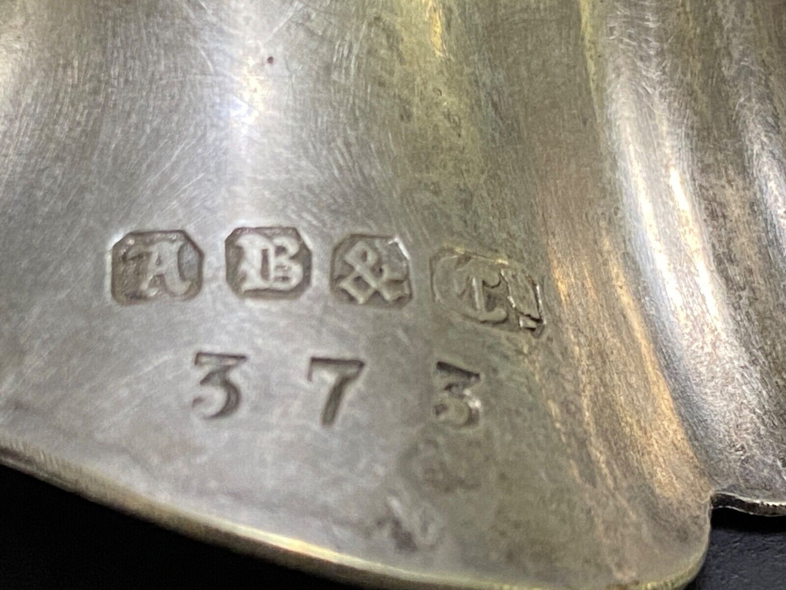 Picture 5 of 12