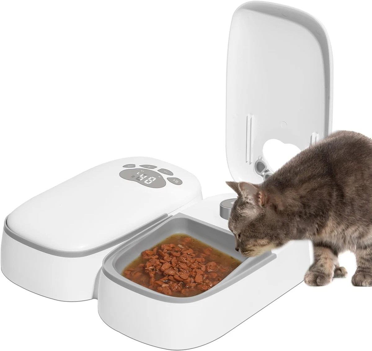 Automatic dog top feeder wet food