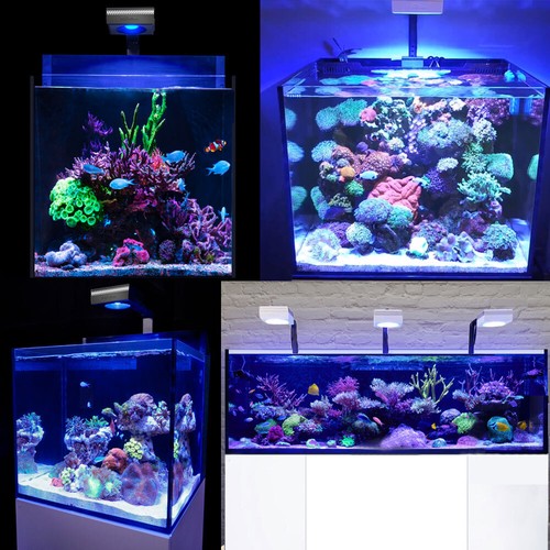 PopBloom RL90 WiFi LED Aquarium Light for 24" 60cm 2ft Saltwater Reef Coral Grow - Picture 12 of 17