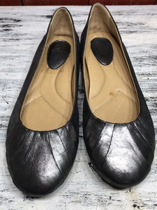 earth bellwether flats