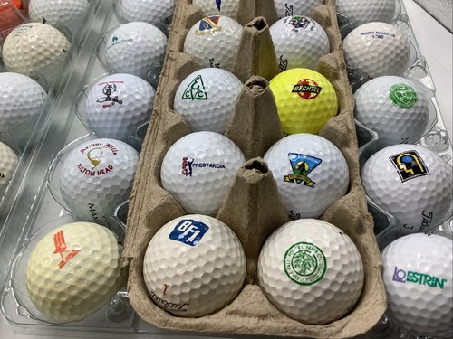 48 (4 Dozen) Logo Golf Balls Courses Brands Products Collectible Golf Ball Lot - Picture 10 of 10