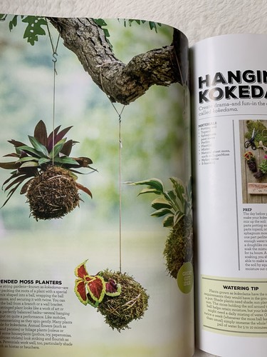 EASY GARDEN PROJECTS Magazine 2020 COUNTRY GARDENS Planters YARD ART Birdhouses - Picture 12 of 12