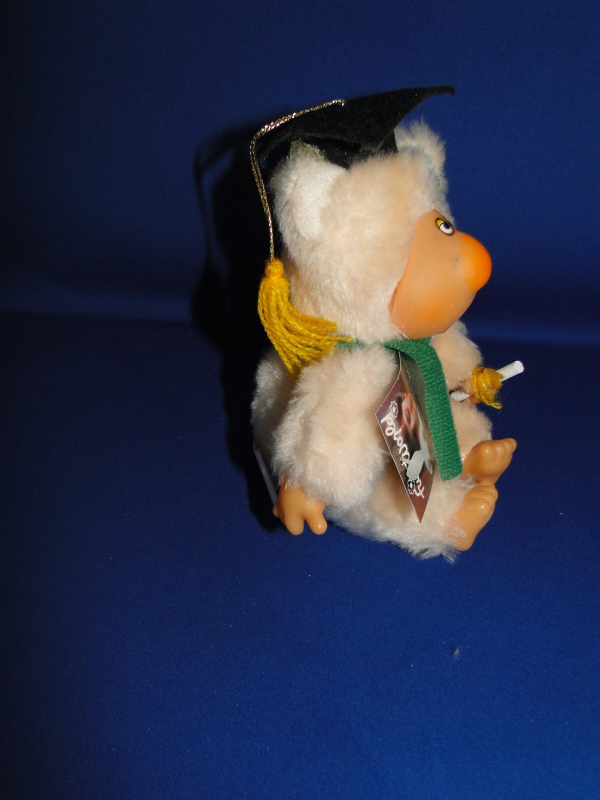 Picture 7 of 22