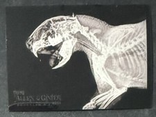 2024 Topps Allen & Ginter Baseball Oregon Zoo X-Ray'd #XR-12 Cape Porcupine