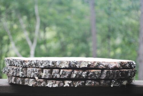 20 10-12 Rustic Wedding Wood Tree Slice Wedding Decor Wood Cake Stand Wood Slice - Picture 5 of 6