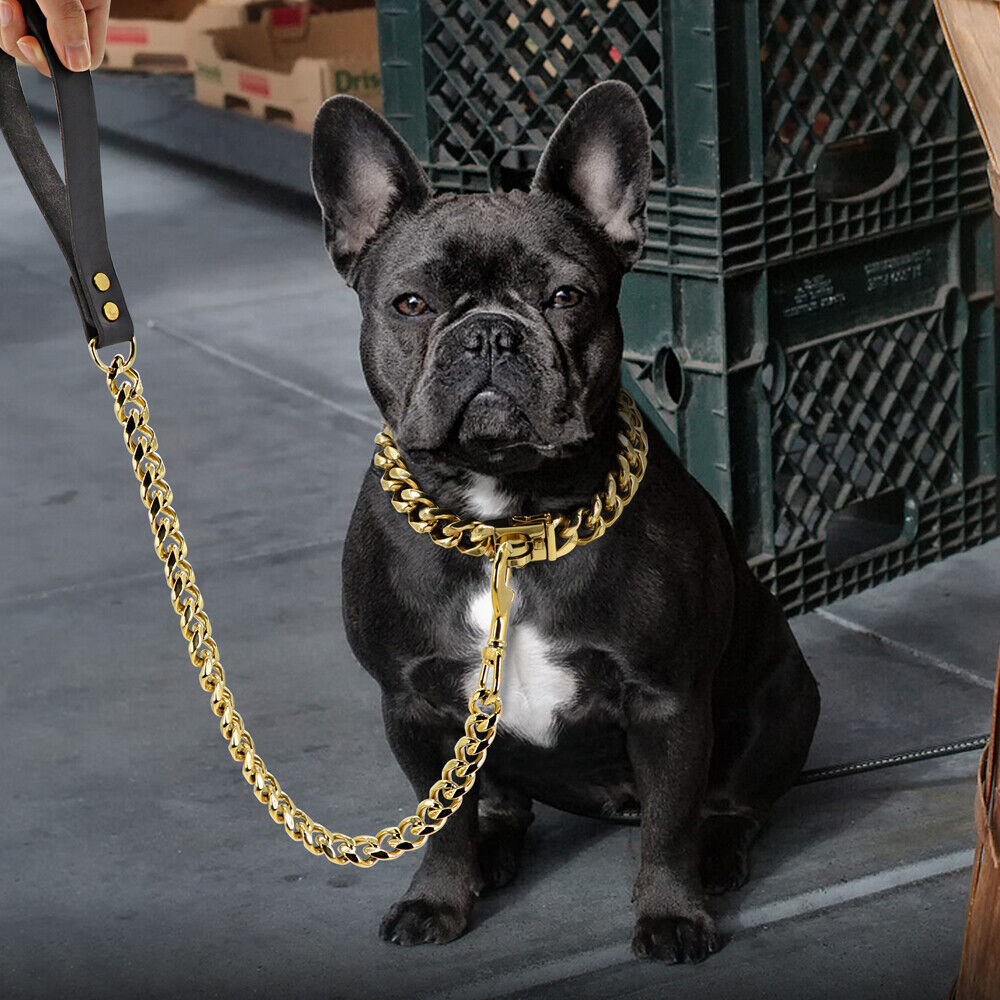 Gold Silver Chain Dog Collar and Lead Heavy Duty Pet Cuban Link Stainless Steel eBay