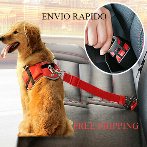 Correas, Cinturon Seguridad para Perros, Collar con Broche de Seguridad | eBay