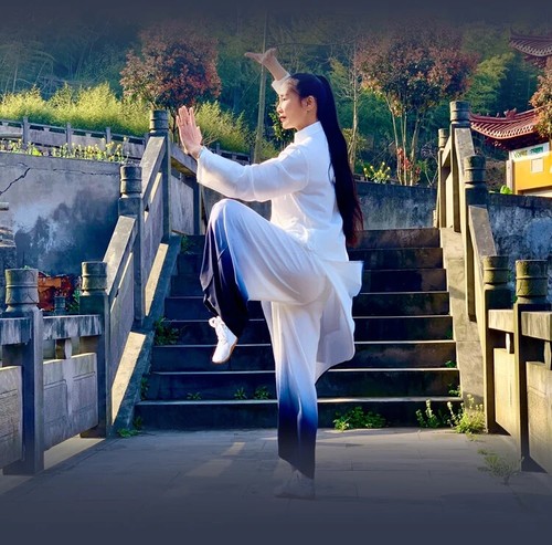 Women Cotton Wing Chun Tai Chi Suit Kung Fu Wushu Martial Uniform Jacket Pant - Picture 10 of 15